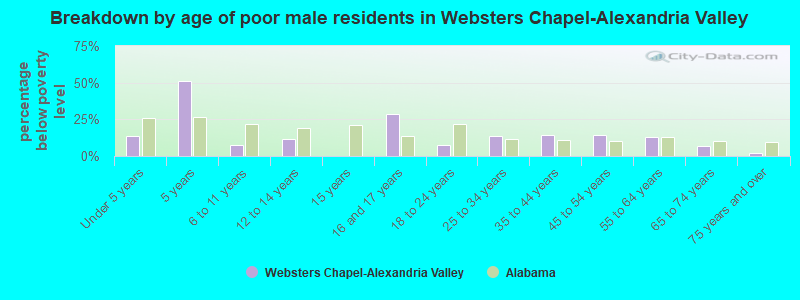Breakdown by age of poor male residents in Websters Chapel-Alexandria Valley