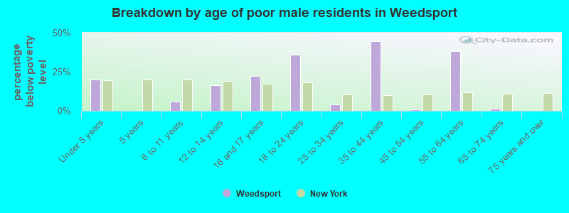 Breakdown by age of poor male residents in Weedsport