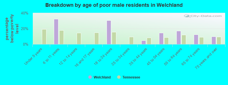 Breakdown by age of poor male residents in Welchland