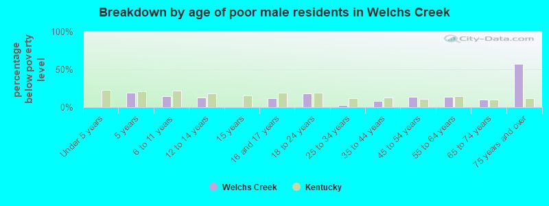 Breakdown by age of poor male residents in Welchs Creek