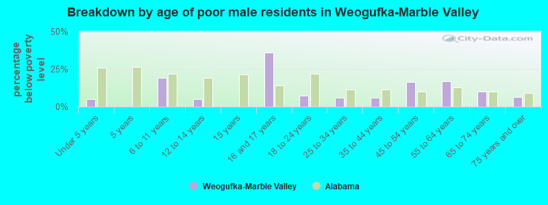 Breakdown by age of poor male residents in Weogufka-Marble Valley