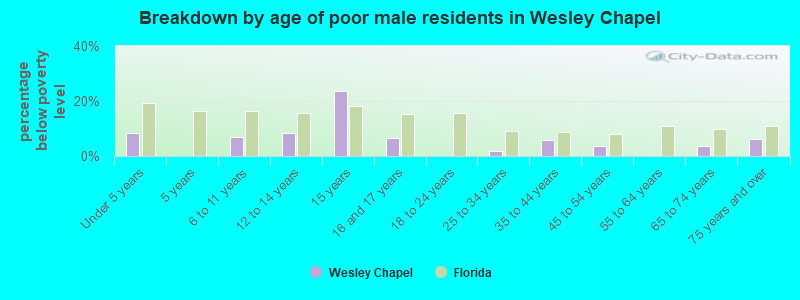 Breakdown by age of poor male residents in Wesley Chapel