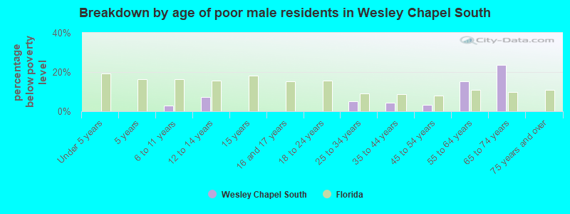 Breakdown by age of poor male residents in Wesley Chapel South