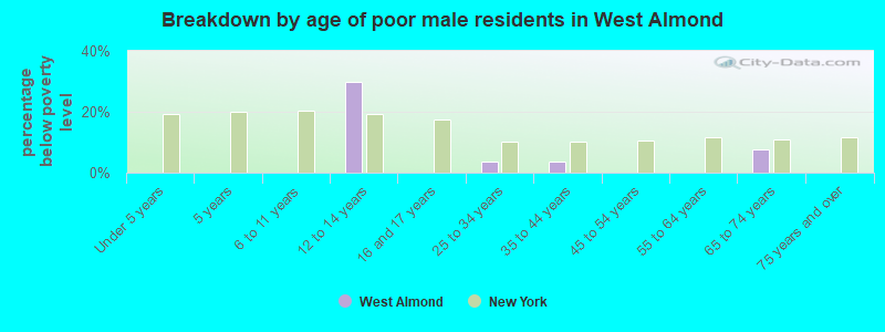 Breakdown by age of poor male residents in West Almond