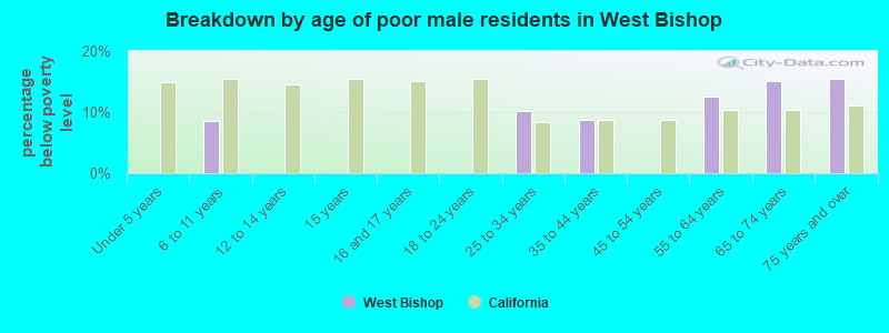 Breakdown by age of poor male residents in West Bishop