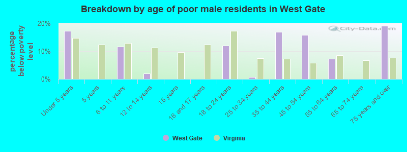 Breakdown by age of poor male residents in West Gate