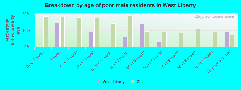 Breakdown by age of poor male residents in West Liberty
