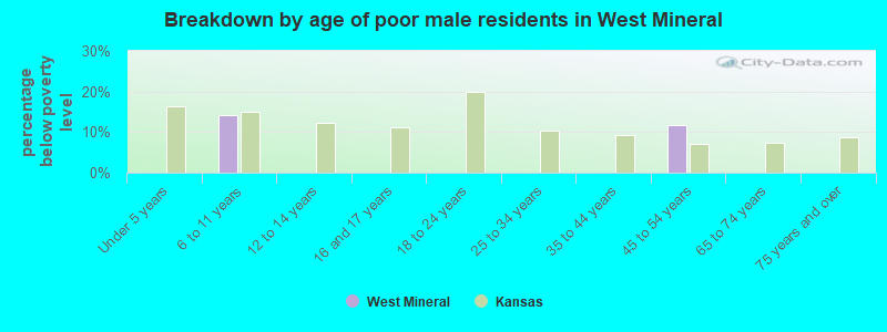 Breakdown by age of poor male residents in West Mineral