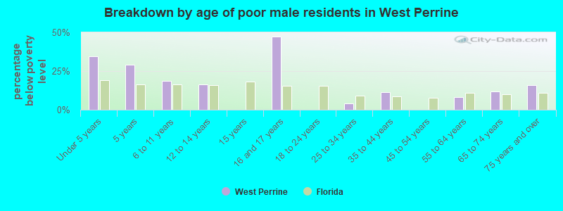 Breakdown by age of poor male residents in West Perrine