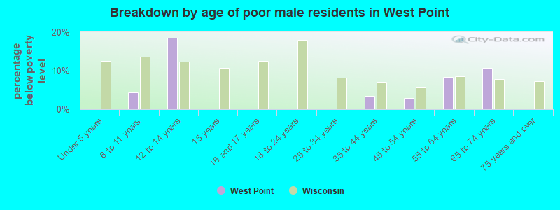 Breakdown by age of poor male residents in West Point