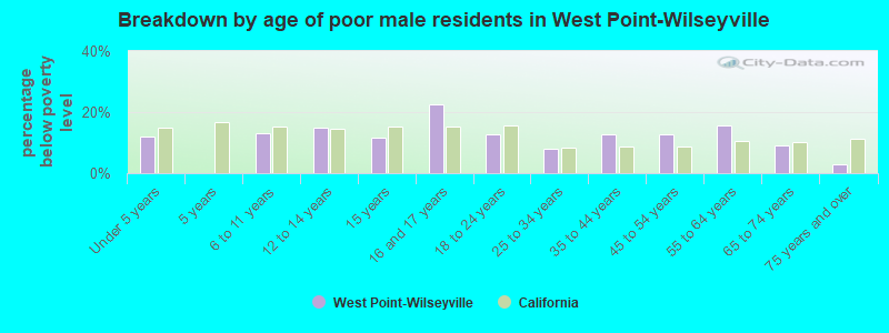 Breakdown by age of poor male residents in West Point-Wilseyville