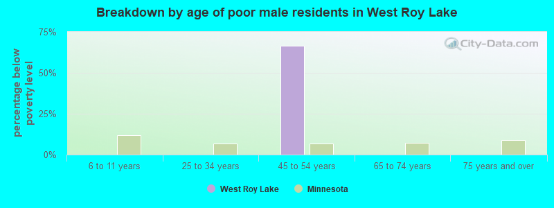 Breakdown by age of poor male residents in West Roy Lake