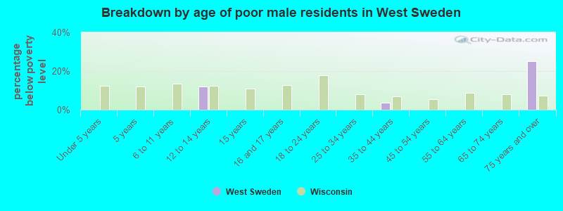 Breakdown by age of poor male residents in West Sweden