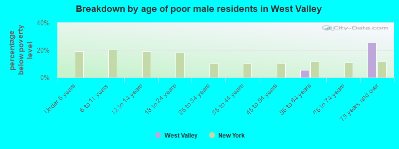 Breakdown by age of poor male residents in West Valley
