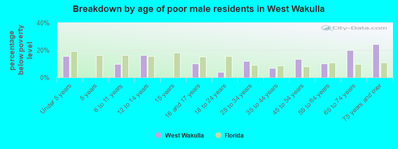 Breakdown by age of poor male residents in West Wakulla
