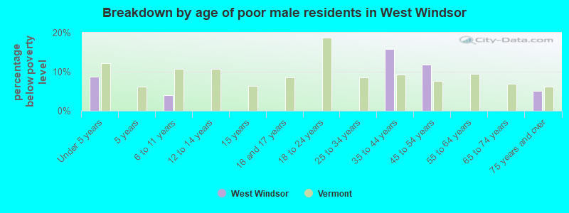 Breakdown by age of poor male residents in West Windsor