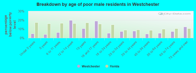 Breakdown by age of poor male residents in Westchester