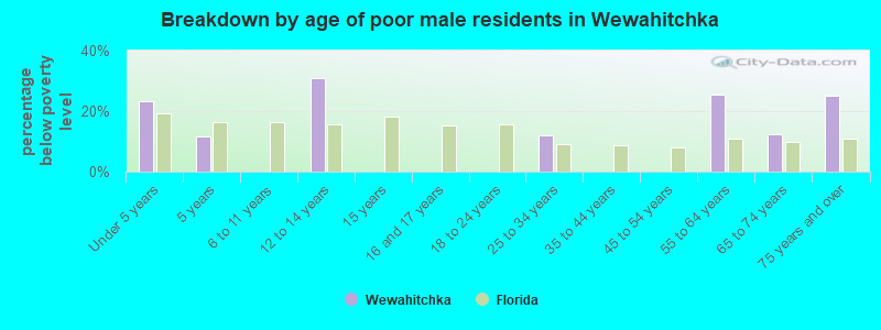 Breakdown by age of poor male residents in Wewahitchka