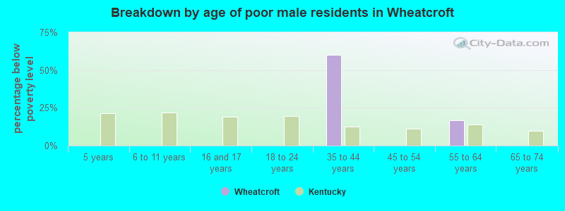 Breakdown by age of poor male residents in Wheatcroft