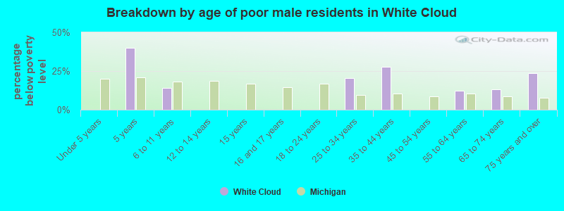 Breakdown by age of poor male residents in White Cloud