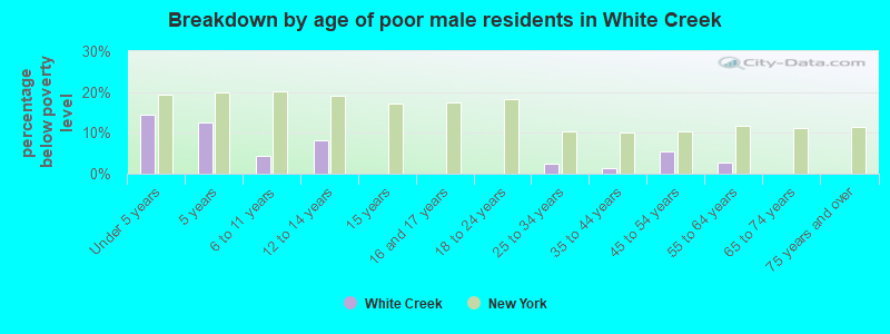 Breakdown by age of poor male residents in White Creek
