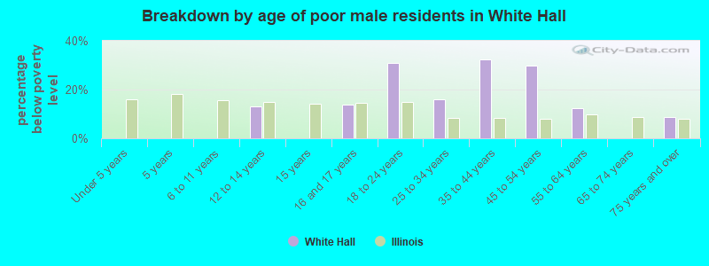 Breakdown by age of poor male residents in White Hall