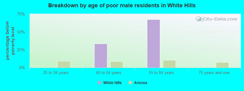 Breakdown by age of poor male residents in White Hills