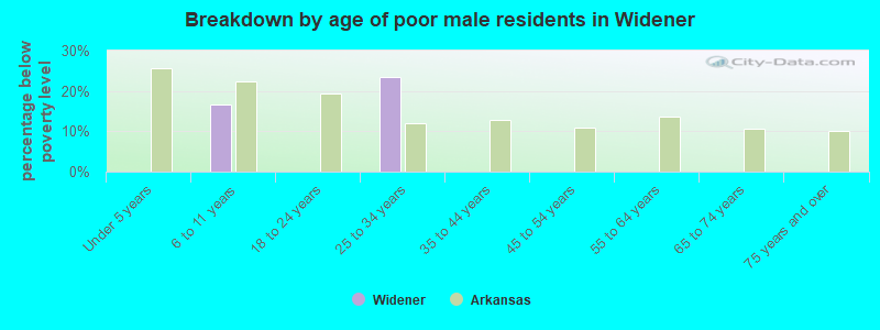 Breakdown by age of poor male residents in Widener