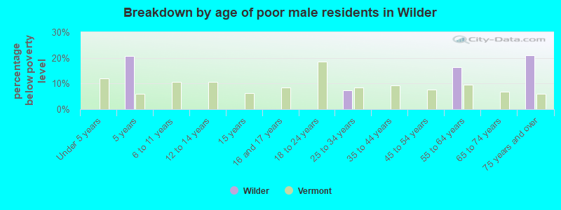 Breakdown by age of poor male residents in Wilder