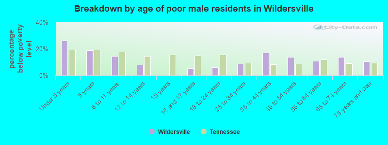 Breakdown by age of poor male residents in Wildersville