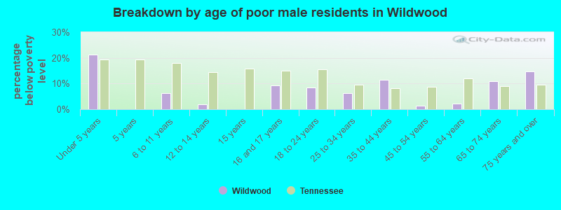 Breakdown by age of poor male residents in Wildwood