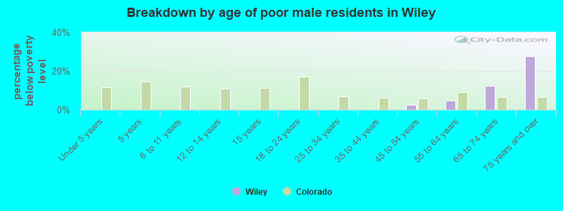 Breakdown by age of poor male residents in Wiley