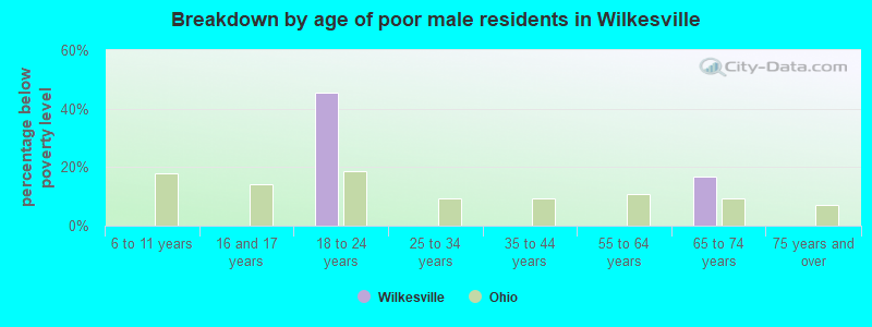 Breakdown by age of poor male residents in Wilkesville