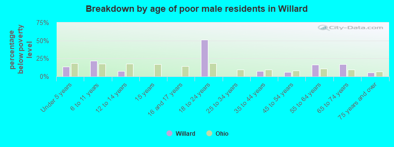 Breakdown by age of poor male residents in Willard