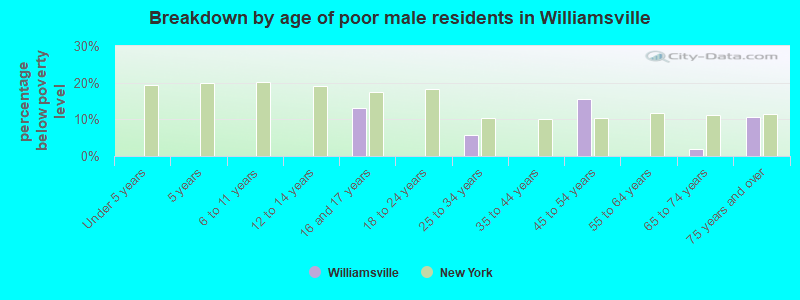 Breakdown by age of poor male residents in Williamsville
