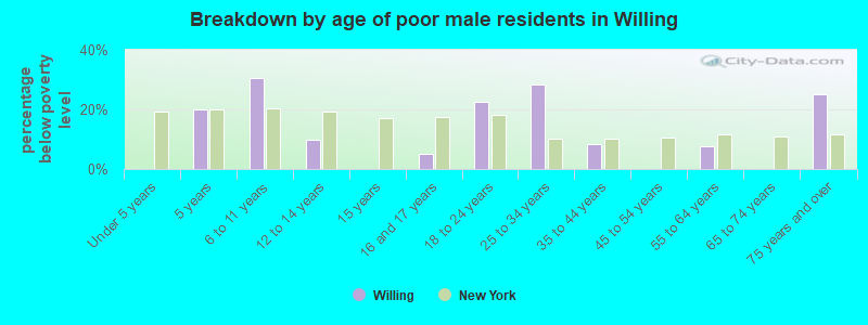 Breakdown by age of poor male residents in Willing