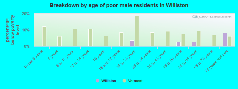 Breakdown by age of poor male residents in Williston