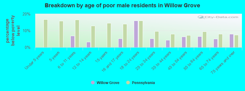 Breakdown by age of poor male residents in Willow Grove