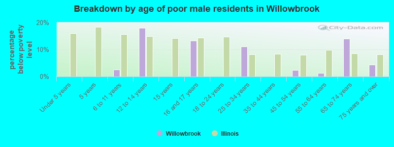 Breakdown by age of poor male residents in Willowbrook