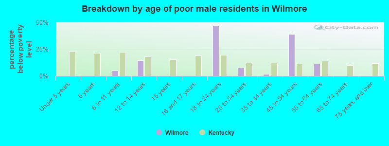 Breakdown by age of poor male residents in Wilmore