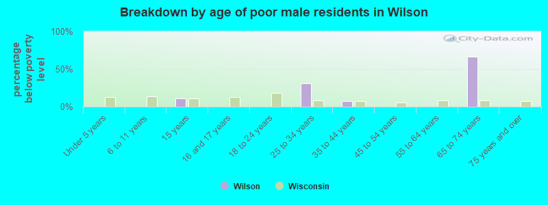 Breakdown by age of poor male residents in Wilson