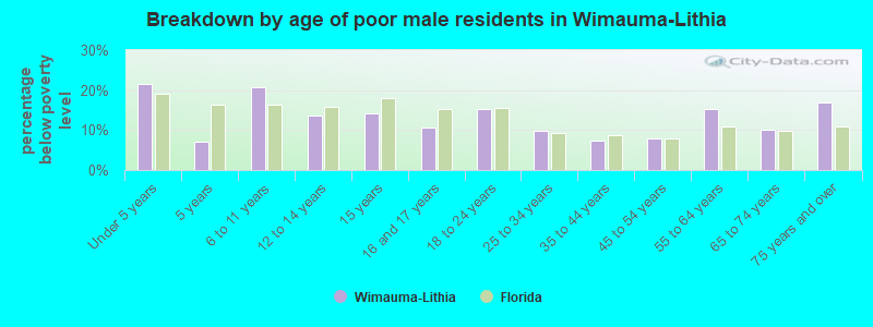 Breakdown by age of poor male residents in Wimauma-Lithia