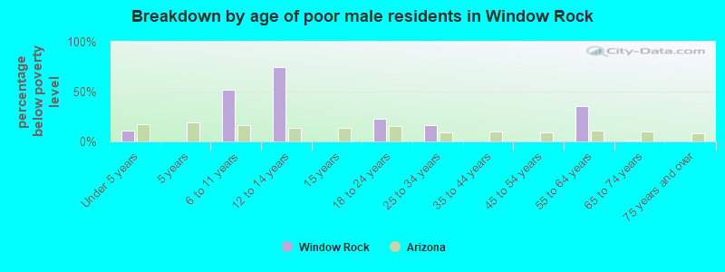 Breakdown by age of poor male residents in Window Rock