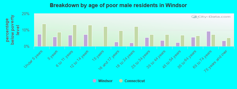 Breakdown by age of poor male residents in Windsor