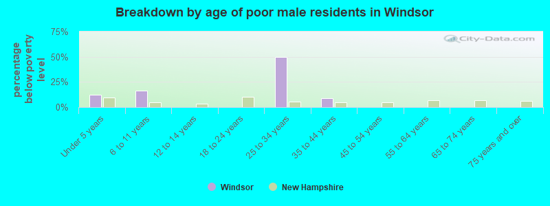 Breakdown by age of poor male residents in Windsor