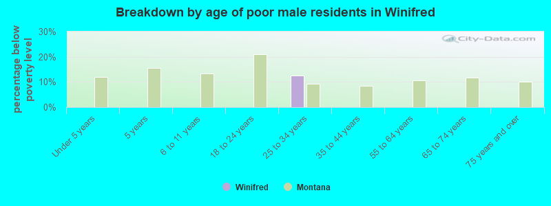 Breakdown by age of poor male residents in Winifred