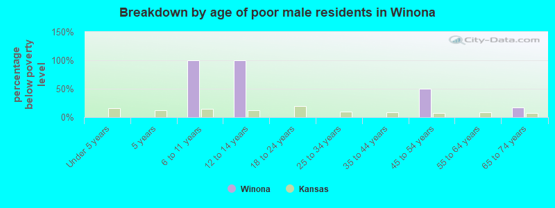 Breakdown by age of poor male residents in Winona