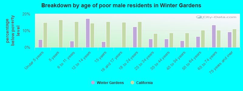 Breakdown by age of poor male residents in Winter Gardens