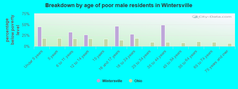 Breakdown by age of poor male residents in Wintersville