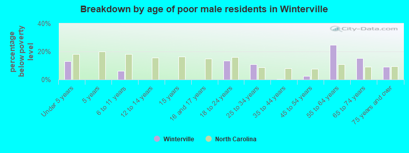 Breakdown by age of poor male residents in Winterville